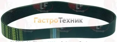 Ремень SL3159 картофелечистки Fimar  PPF25 - PPN25 - PPL25